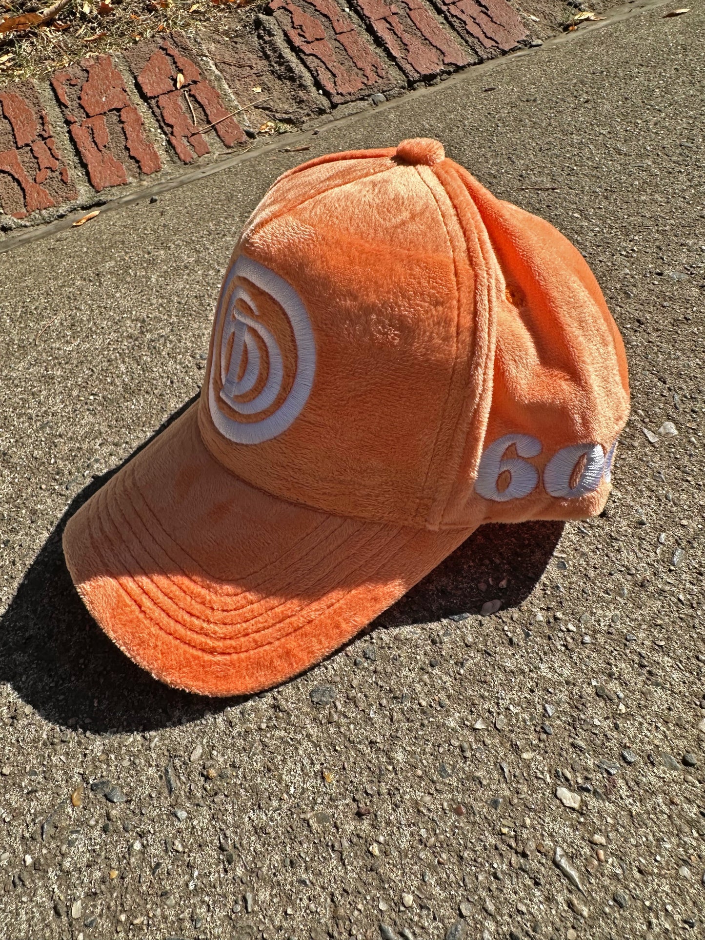 Citrus Trucker